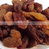 Natural Sultana/zante Currant--HOT SALES thumbnail-1