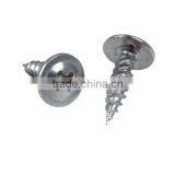 FREE SAMPLES White Zinc Truss Head Self Tapping Screw thumbnail-1