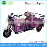 Folding Electric 800w Adult Electric Tricycle With Passenger Seat thumbnail-2