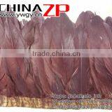Top Supplier ZPDECOR Good Reputation Goose Dyed Brown Satinettes Feathers Trim thumbnail-3