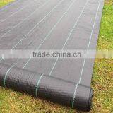Weed Control Fabric Membrane Ground Sheet GARDEN/DRIVEWAY HEAVY DUTY thumbnail-3