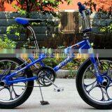 20inch Freestyle Bicycle/fat Tire Freestyle Bicycle/opc Wheel Freestyle Bicycle thumbnail-1