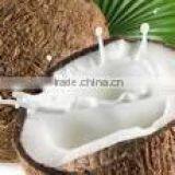 Coconut Milk Produced in Vietnam Fat 22% thumbnail-3