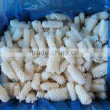 Frozen Squid Fillet thumbnail-5