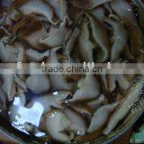 Can (Tinned) Packaging Canned Mushroom Brands