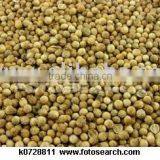 Coriander Whole and Powder thumbnail-1