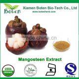 Natural Mangosteen Fruit Powder thumbnail-1