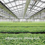 Commercial Greenhouse For Mushroom Vegetable thumbnail-6