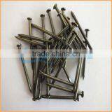 Manufacture High Quality Low Price Specializing in the Production of Galvanized Iron Nail thumbnail-3