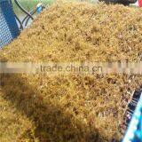 Full Automatic Aquatic Weed Harvester In China thumbnail-2