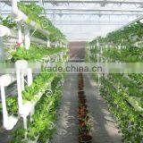 Grow Hydroponc System thumbnail-1