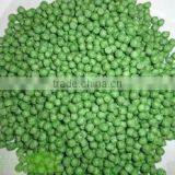 Fish Food Pellet Making Machine thumbnail-1