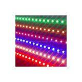 LED Strip 3528R60-8/decrotive Night Neon Christmas Lights/lighting/lamps/bulbs thumbnail-1