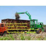 Hongyuan Factory 4WD Sugarcane Grab Loader thumbnail-2