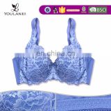 2015 New Arrival Graceful Mature Women 3D Mould Cup Seamless Sexy Indian Girl Without Bra In Transparent Dress