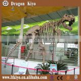 2016 jurassic park dinosaur fossil for museum dinosaur skeleton