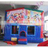 Inflatable Bouncers With Art Panel D144