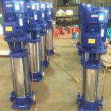 DL Vertical Multistage Booster Water Pump thumbnail-5