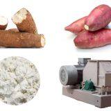 Large potato starch production process