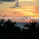 Nikon D7100 18-105mm VR Kit thumbnail-1