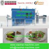 BOPS Plastic Blister Vacuum Thermoforming Machine For Medicine Container ,Egg Tray