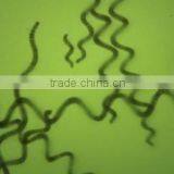 Bottled Spirulina Pills thumbnail-2