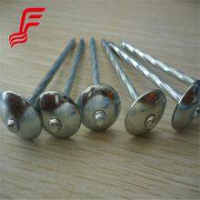 Hot Selling Galvanized Iron Umbrella Roofing Nails Cap Style With Smooth Shank for Steel Roofing Sheet Cheap Option thumbnail-1