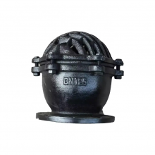 DN100 PN16 Ductile Iron Cast Iron Flange Foot Valve Pressure Filter Check Bottom Valve Foot Valve thumbnail-2
