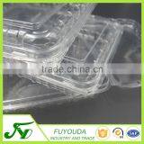 Fashion Design Clear Takeaway Plastic Fruit Container thumbnail-2