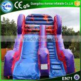 Clearance Commercial Grade Inflatable Water Slides,Superhero Water Slide Inflatable Slide Giant Supplier's Choice thumbnail-3