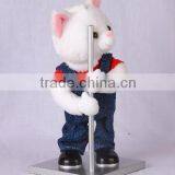 Pole Dancing Cat