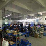 Shenzhen Yunqiang Optoelectronics Co., Ltd. company overview - view 3 thumbnail