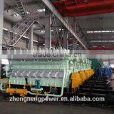 China Biomass Power Generating Equipment