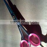 Black Powder Quoted Barber Scissors