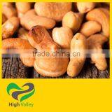 Best Cashew Nut From Vietnam