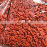 Dried Goji Berry/organic Goji Berry thumbnail-3
