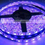 Magic Digital Dream Color Rgb Led Strip,high Power Led Light Strip 12v Auto