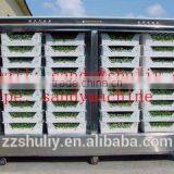 Automatic High Efficiency Soybean and Mung Bean Sprout Growing Machine /bean Sprout Machine