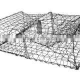 32" x 24" x 11" Collapsible Crab Trap thumbnail-1
