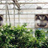 Polycarbonate Greenhouses China thumbnail-5