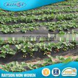 Online Shop Pp Spunbonded Uv Treat Non-Woven Fabrics thumbnail-3