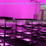 Top Rated ETL Listed Marshydro 1600 Grow LED Lights Full Spectrum LED Grow Light For Indoor Hydroponics Vertical Systems thumbnail-5