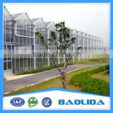 Galvanized Pipe Frame&Glass Panels Covered Agricultural Glass Greenhouse With Vegetable Growing