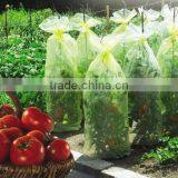 PE Agriculture Perforated Plastic Tomato Tube Film thumbnail-1