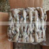 New Season Whole Frozen Squid Iqf thumbnail-1