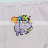 Children's Underwear Models Teen Underwear Girl Sexy Underwear thumbnail-3