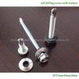 Self Drilling Screw thumbnail-3