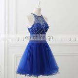 Wholesale Two-Piece Royal Blue Tulle Short Cocktail Dress Cocktail Dresses LX337 thumbnail-5