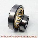 Full Row of Cylindrical Roller Bearings thumbnail-1