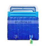 Dolphin Theme Inflatable Double Water Slide With Pool thumbnail-5